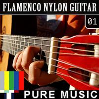 Flamenco Nylon Guitar, Vol. 1