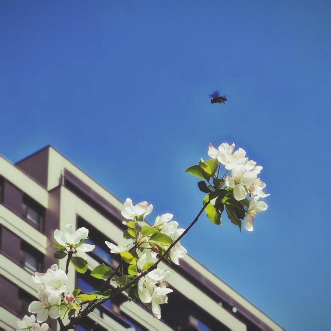 为庆祝我们度过漫长的寒冬