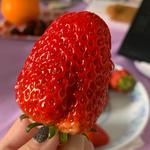 剪视频备选