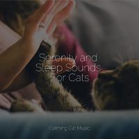 Serenity and Sleep Sounds For Cats