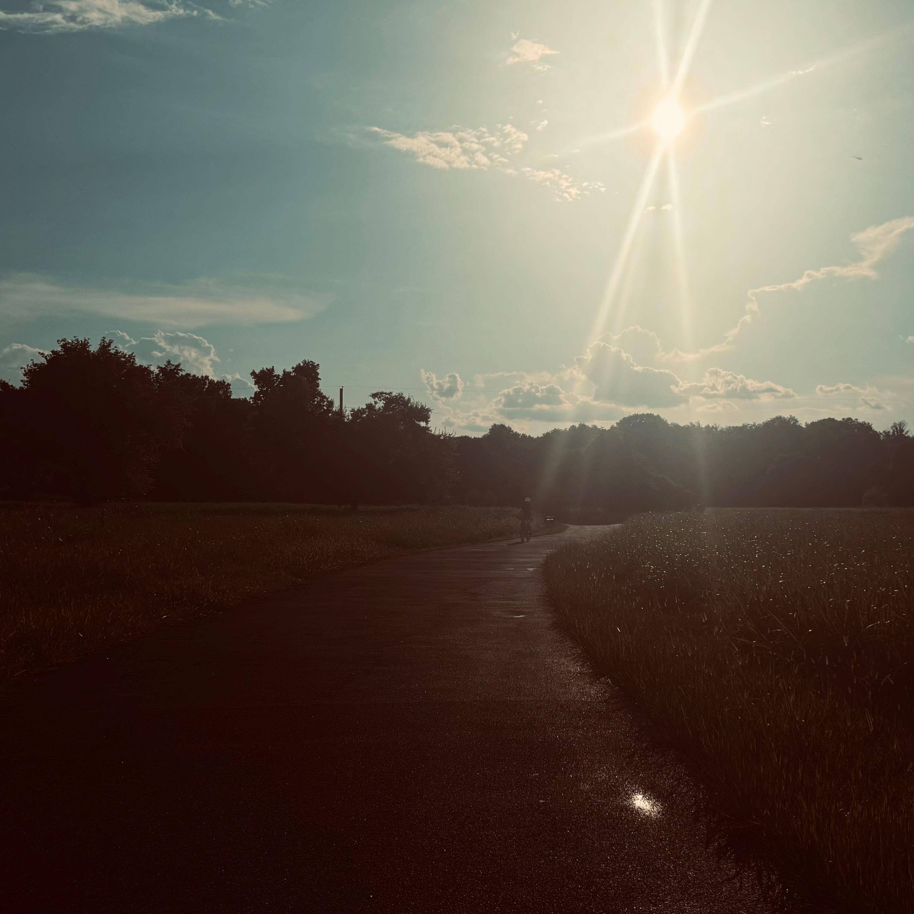 ASMR No Talking: Moving Movie Discs From CD Binder to Cases, Pt. 2