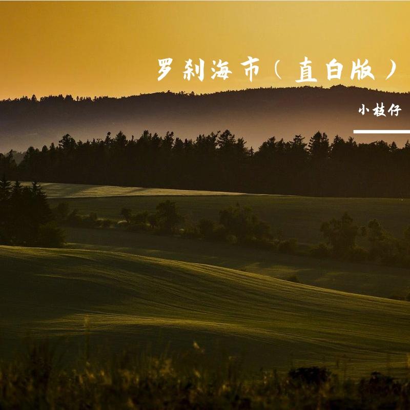 罗刹海市(直白版) 伴奏版封面