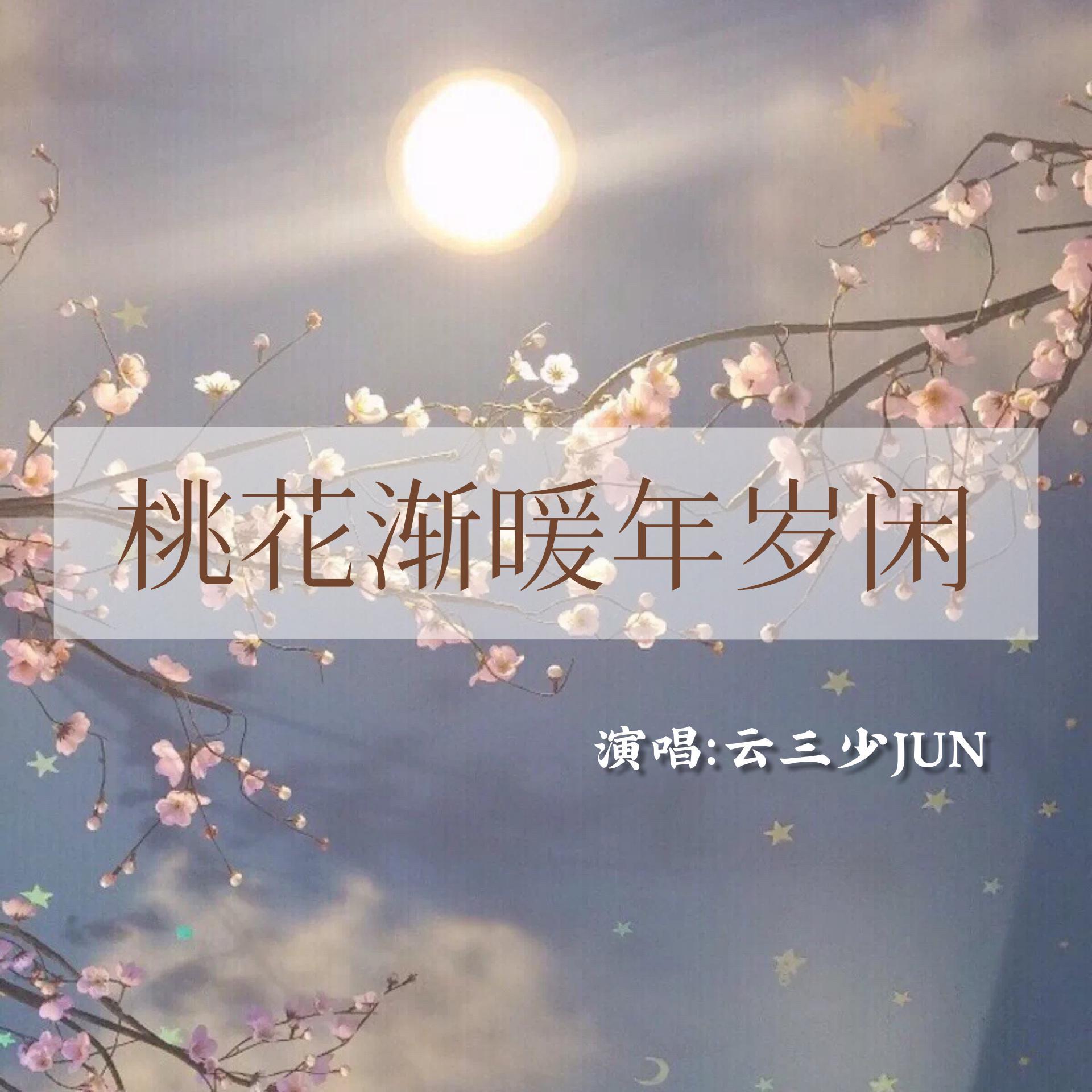 桃花渐暖年岁闲封面