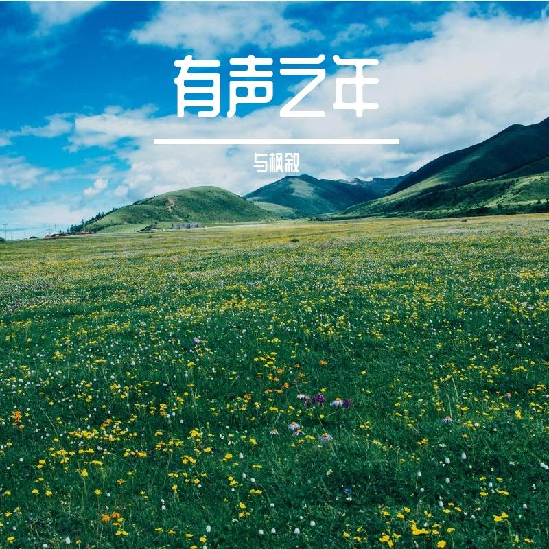 有声之年 - 与枫叙封面