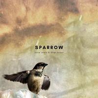 Sparrow