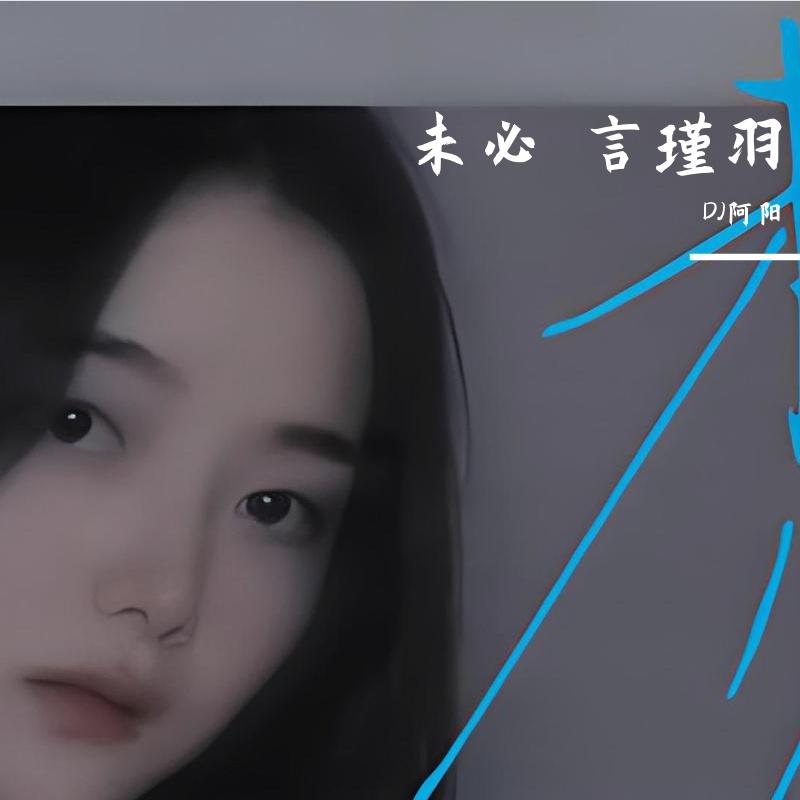 言瑾羽-言瑾羽 - 未必 - DJ阿阳封面