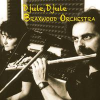 Djule, djule - Braxwood Orchestra (feat. Roberto Stanco)