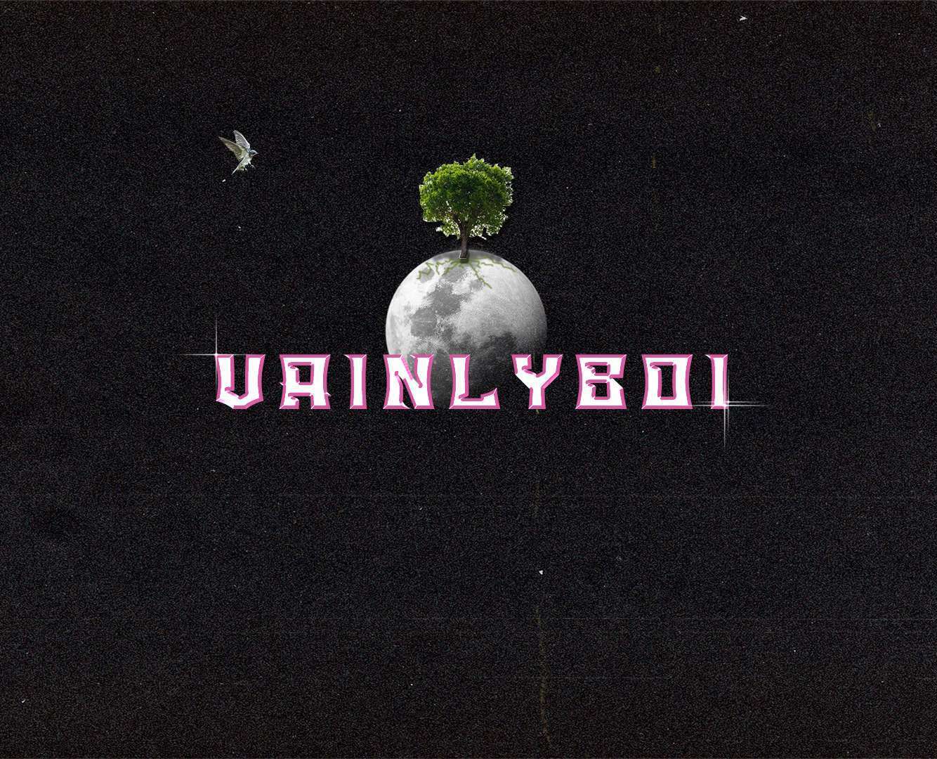 VainlyBoiAslayërr