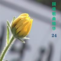 国语歌曲精华24