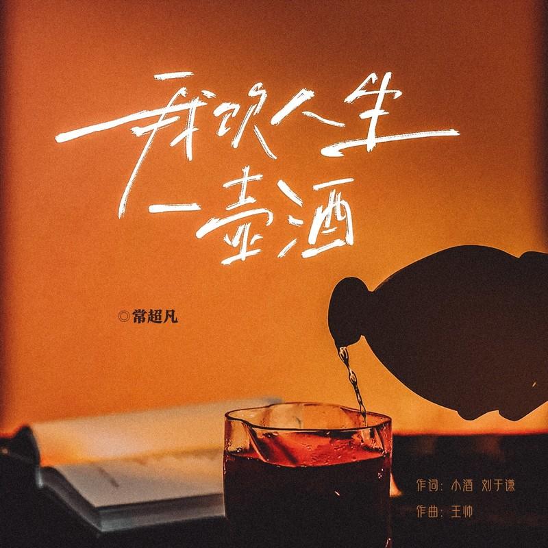我饮人生一壶酒封面