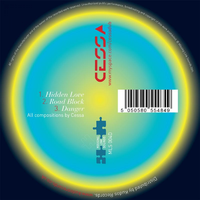 Hidden Love/Roadblock