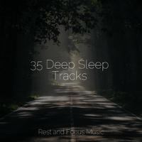 35 Deep Sleep Tracks