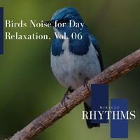 Birds Noise For Day Relaxation, Vol. 06