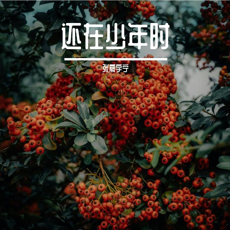 长安花落尽封面