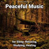 !!!! Peaceful Music for Sleep, Relaxing, Studying, Healing