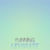 Punning Levigate