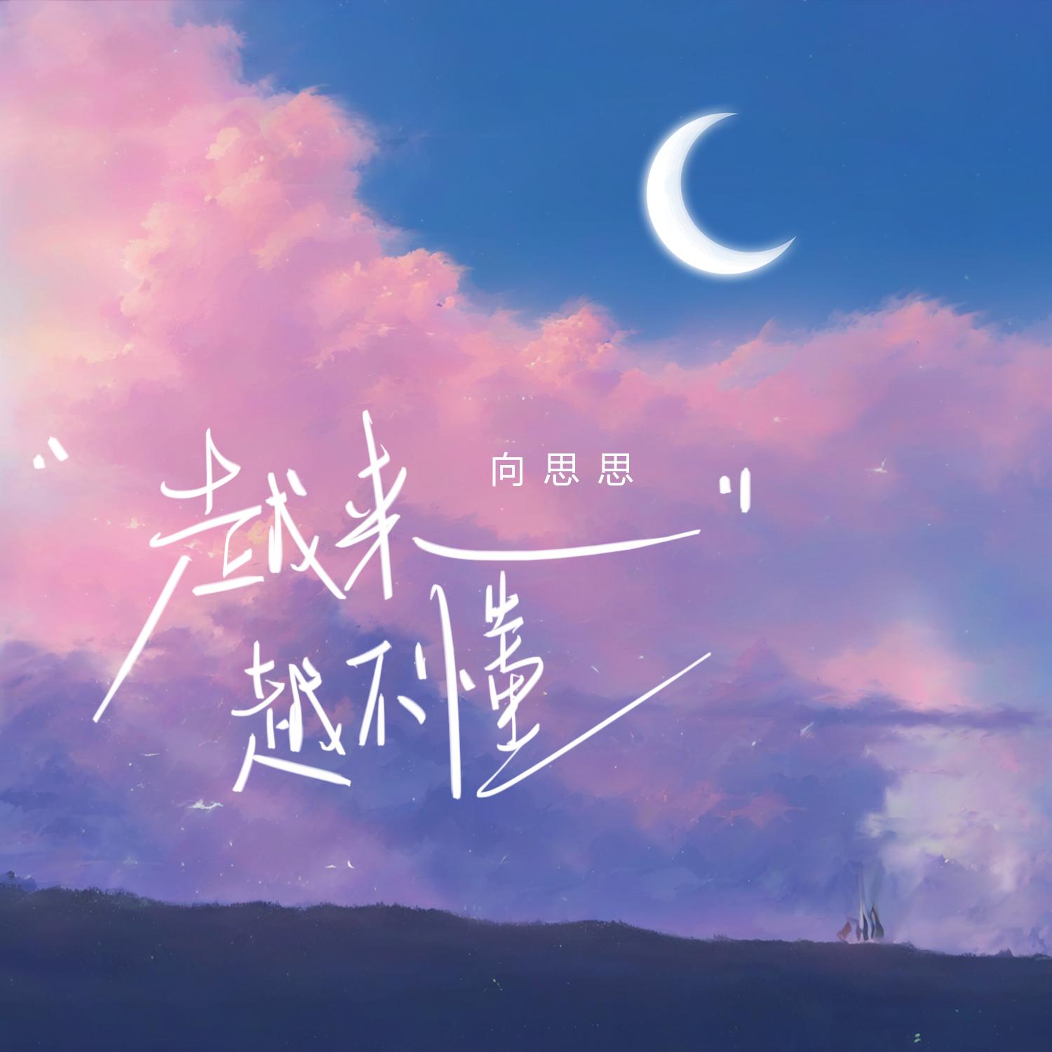 越来越不懂 (DJ版)封面