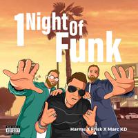 1 Night Of Funk