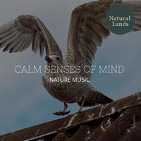 Calm Senses of Mind - Nature Music