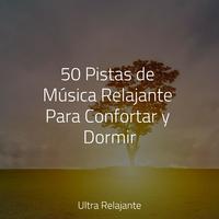 50 Pistas de Música Relajante Para Confortar y Dormir