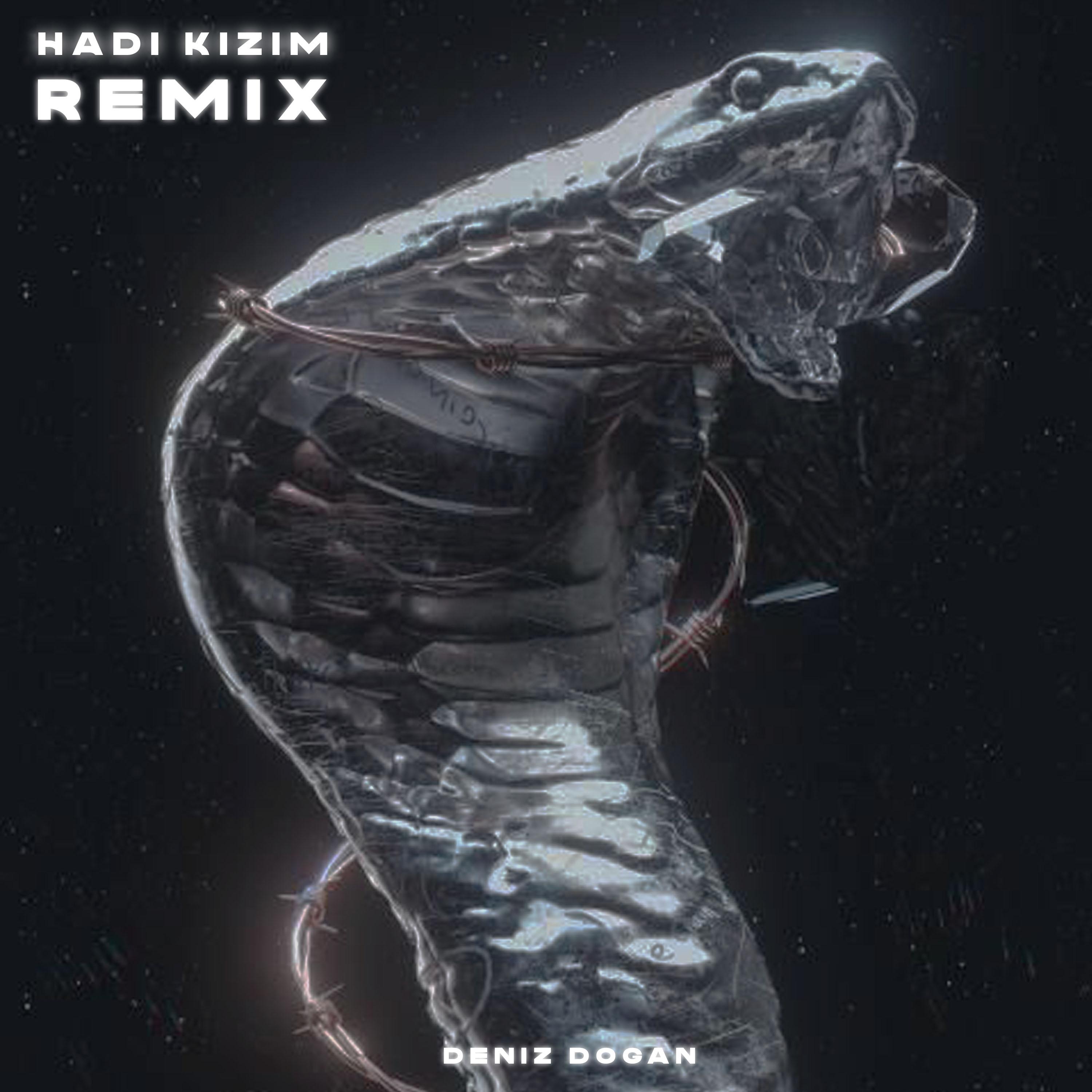 Hadi Kızım (Remix)