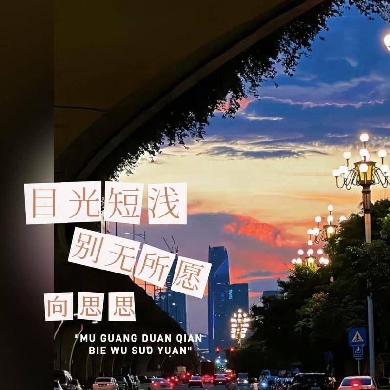 目光短浅别无所愿 - 向思思封面