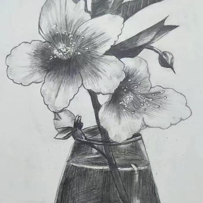 种花的人封面