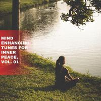 Mind Enhancing Tunes for Inner Peace, Vol. 01