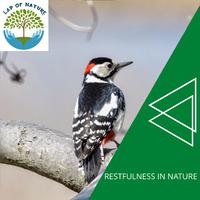 Restfulness in Nature