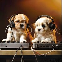 Music for Dogs: Relaxing Pet Melodies