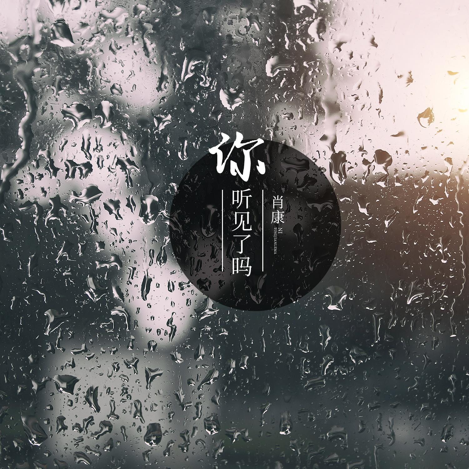 你听见了吗封面