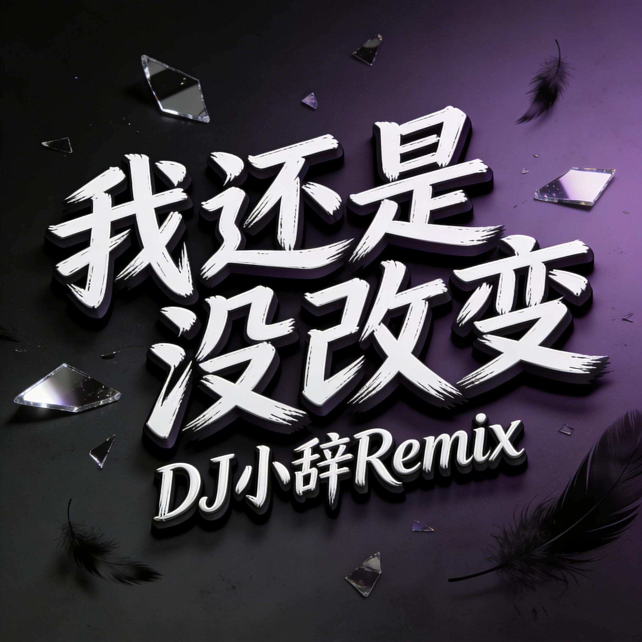 我还是没改变 (DJ版) - DJ小辞封面