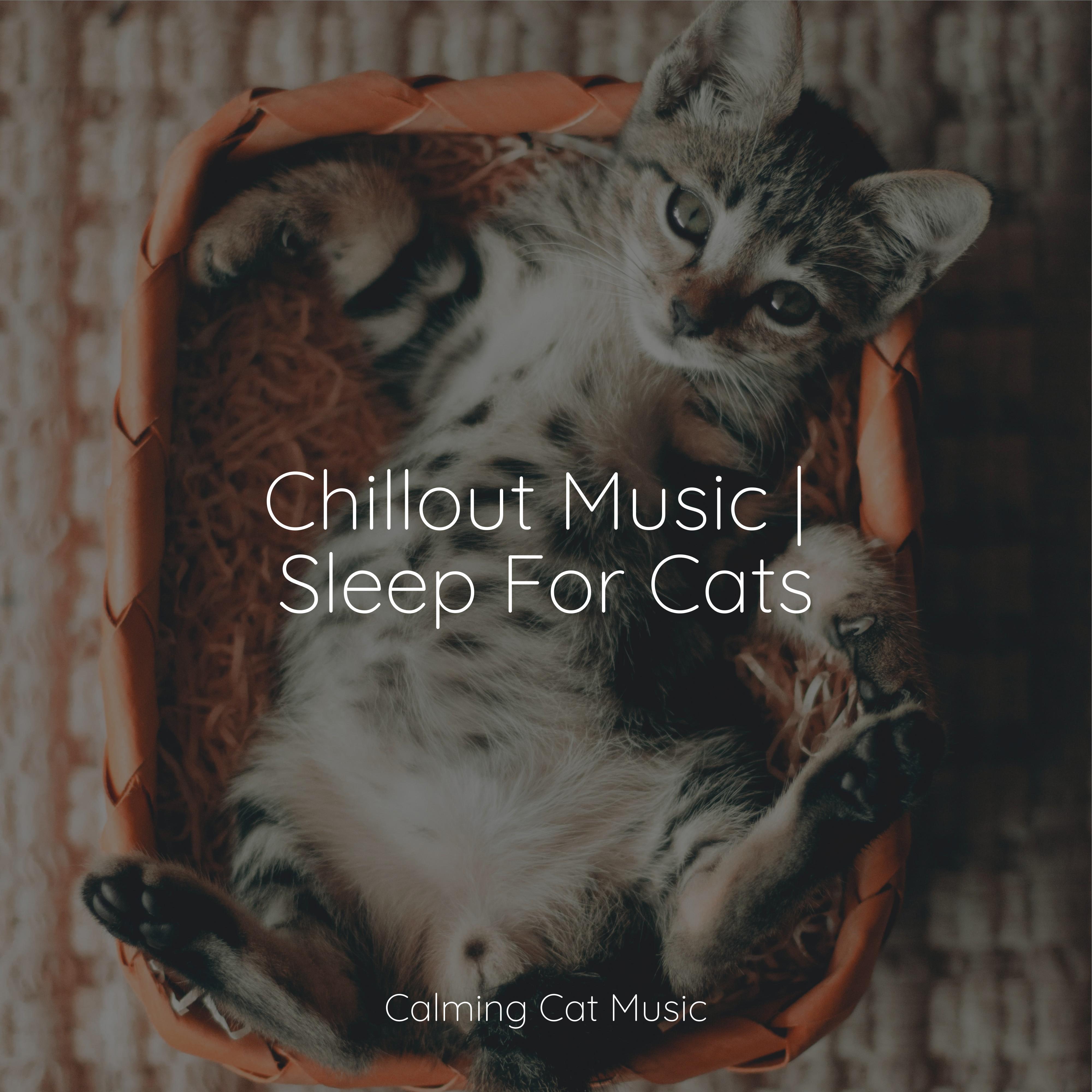 Stress Removal Music for Resting Cats/Music for Relaxing Cats/Music for Cats Deluxe 单曲 网易云音乐