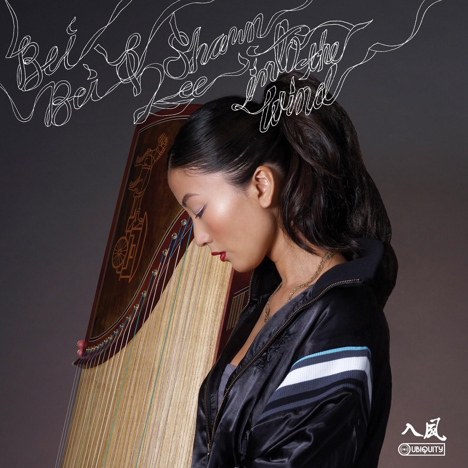 The Master Room_Bei Bei_Into the Wind | 在线播放_The Master Room歌词_The Master Room下载 | 网易云音乐