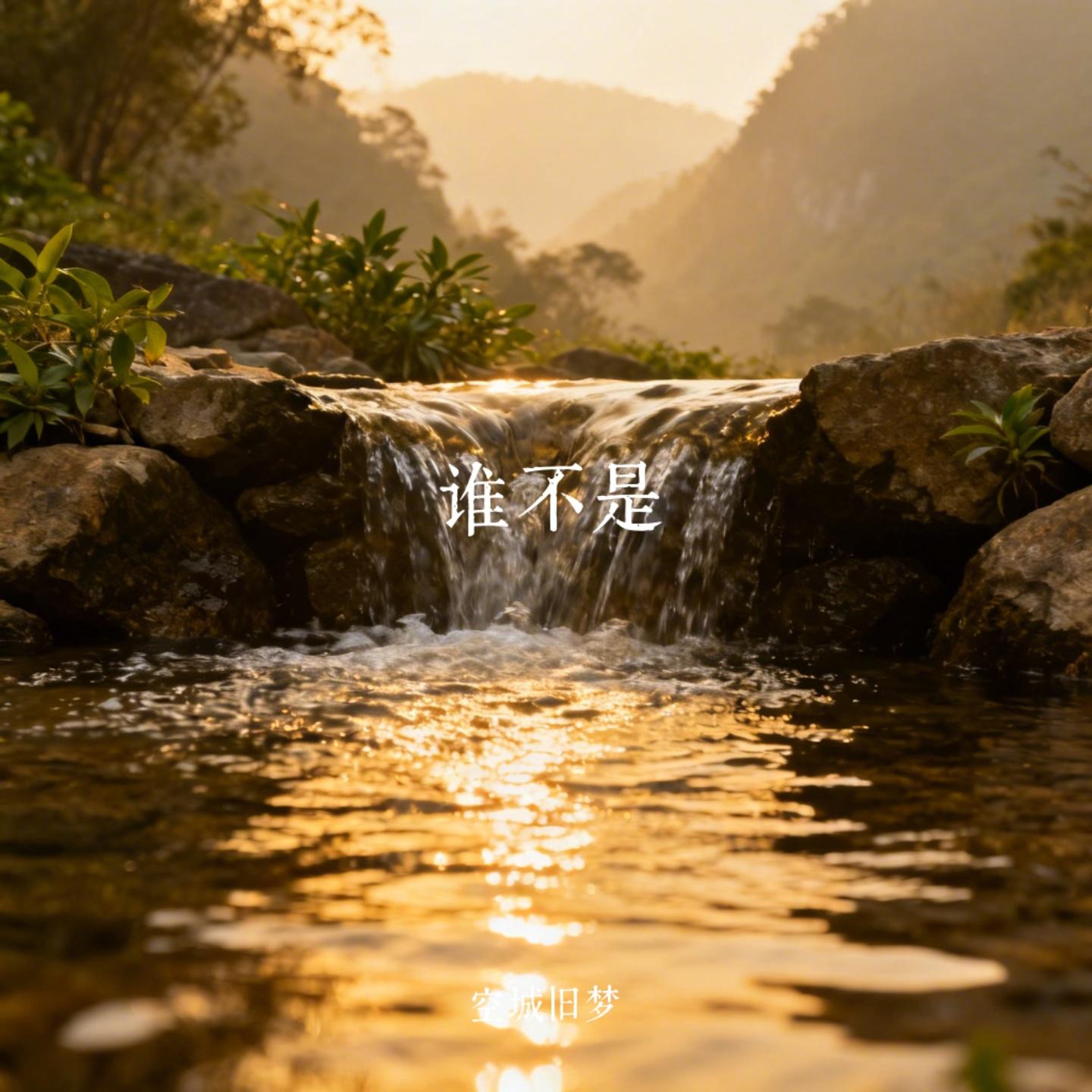 谁不是封面