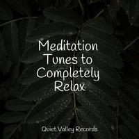 Meditation Tunes to Completely Relax