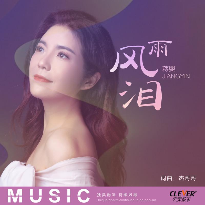 风雨泪 (DJ版伴奏)封面