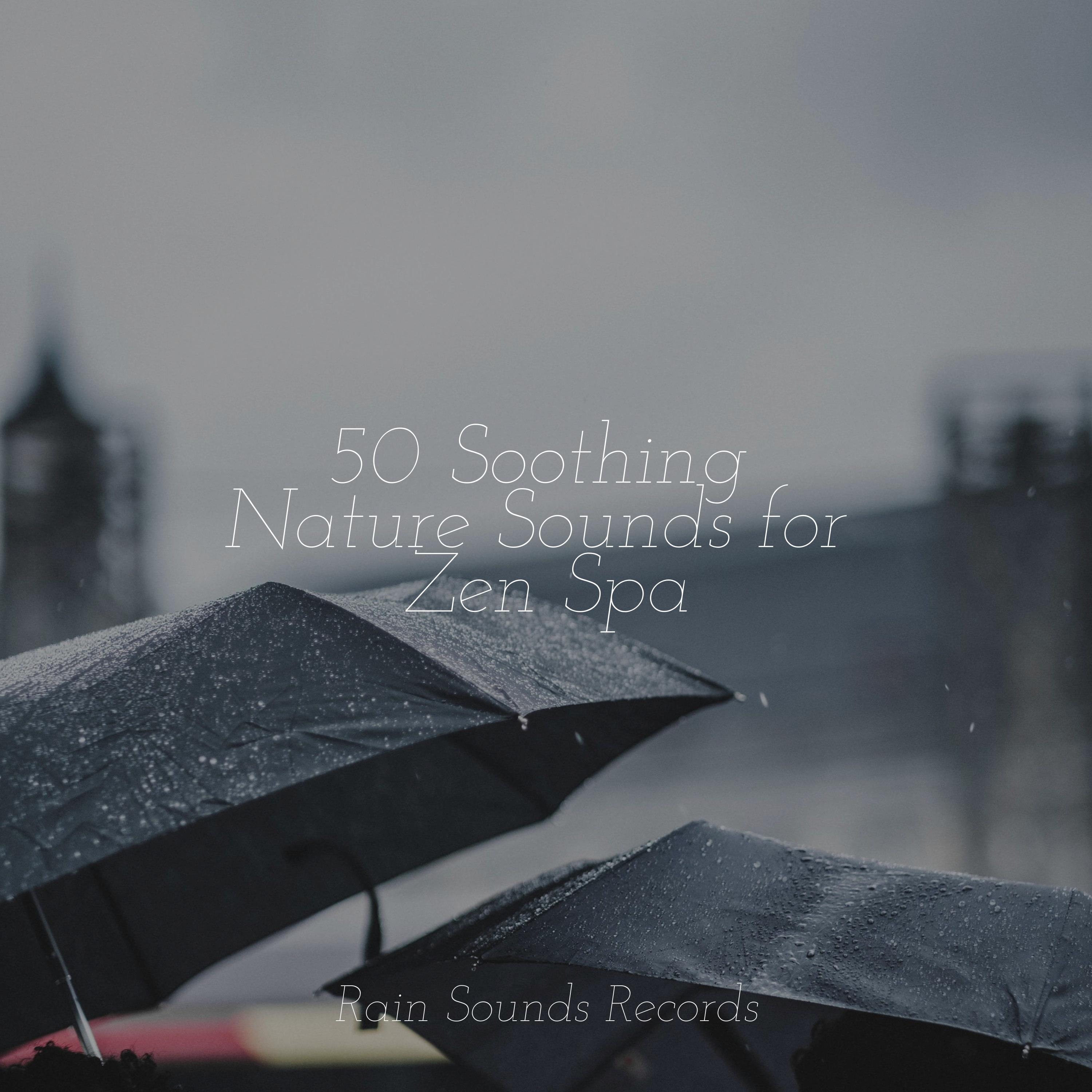 50 Soothing Nature Sounds for Zen Spa - Canciones de Cuna para Bebés ...