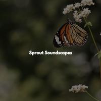 Sprout Soundscapes