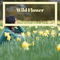 Wild Flower