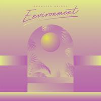 Environment