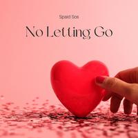 No Lettin Go (feat. Wayne Wonder) [Special Version]