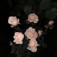 我们的故事