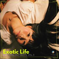 Exotic Life: 2020 Chill Out Beats, Vol. 3