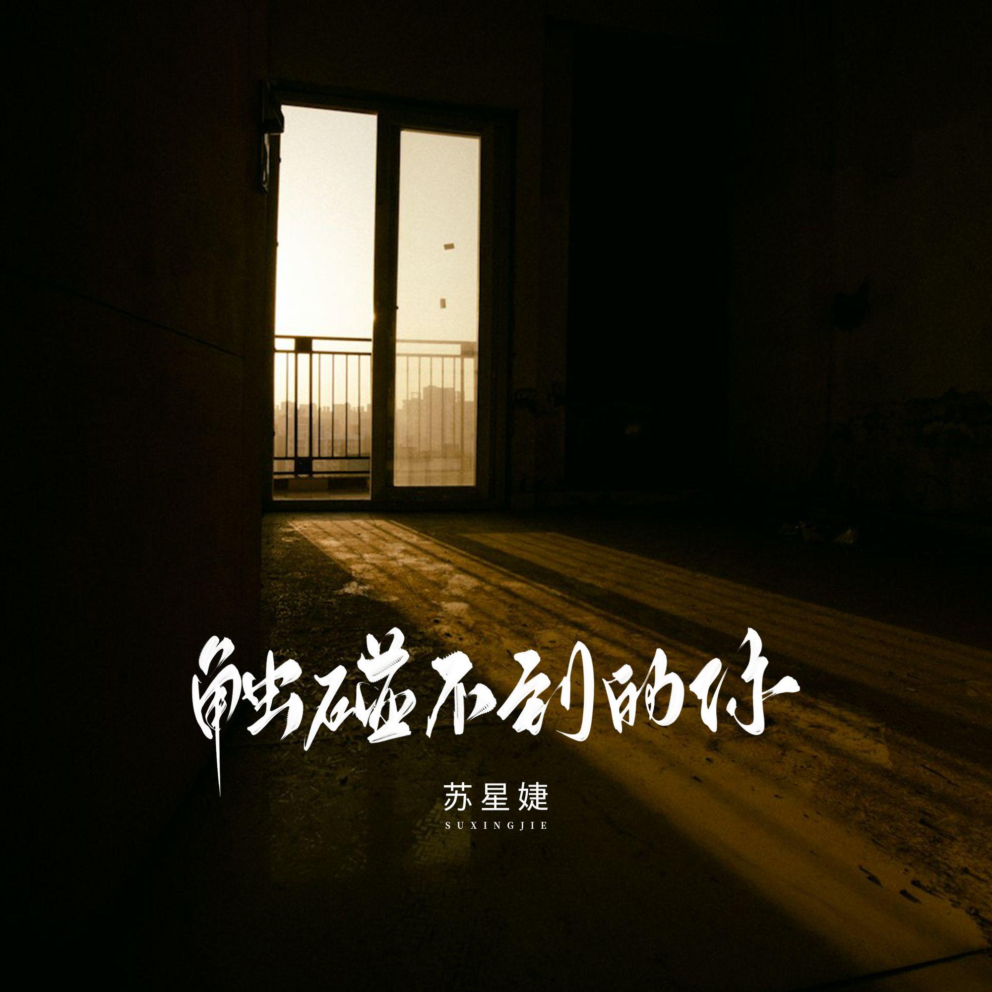 触碰不到的你封面