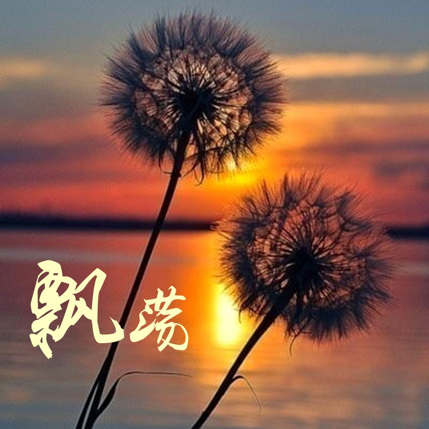 爱情可不可以补考封面