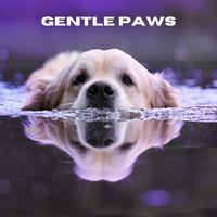 Gentle Paws