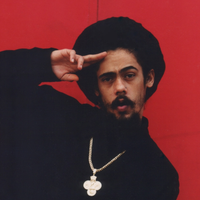 Damian Marley