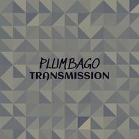 Plumbago Transmission