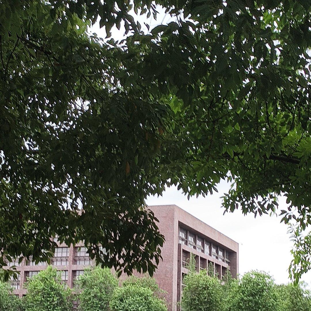 盛夏于此封面